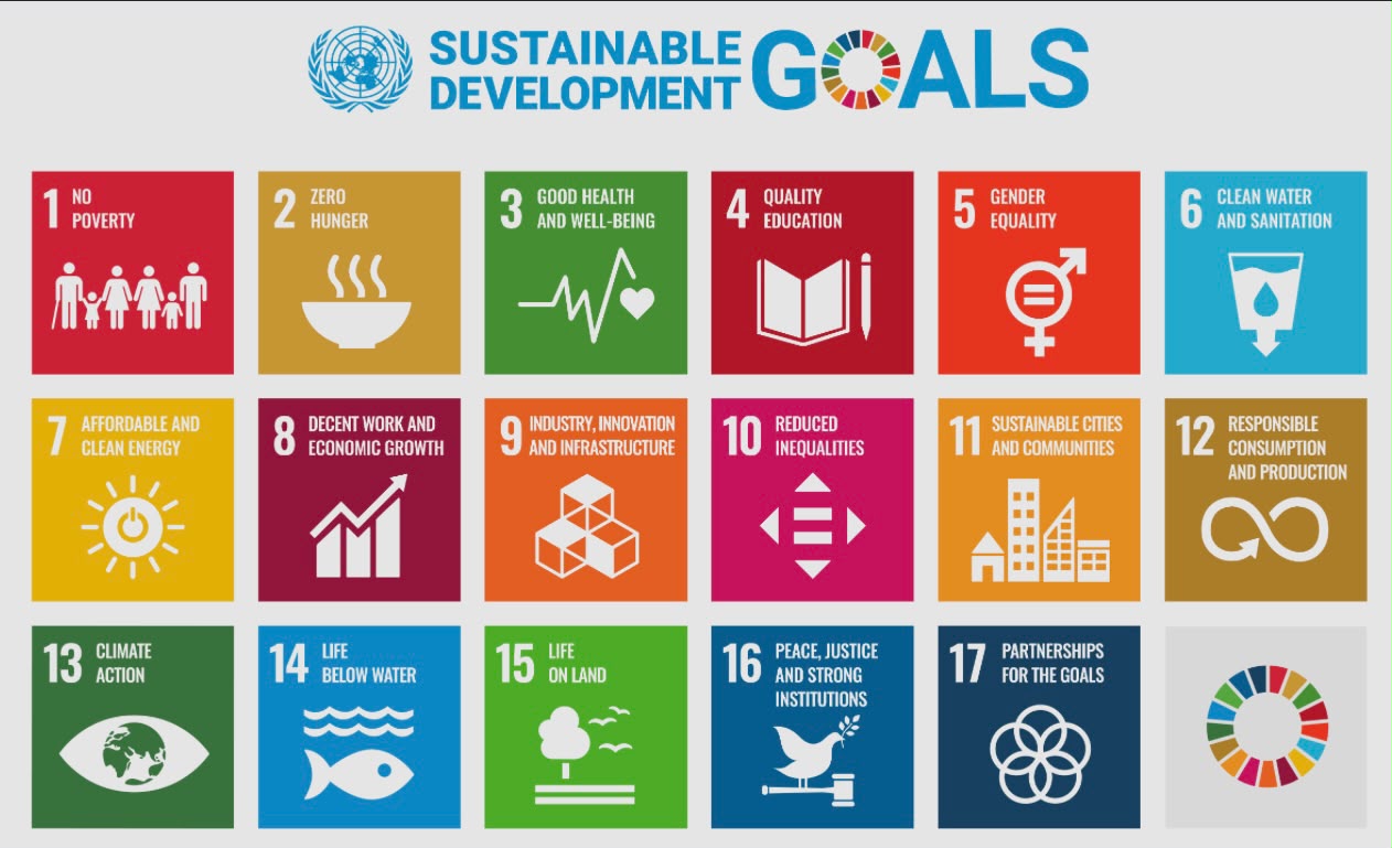 Environment & Sustainable Development